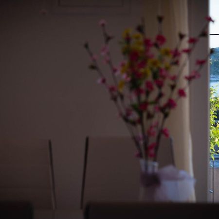 Apartments Nakic 希贝尼克 外观 照片